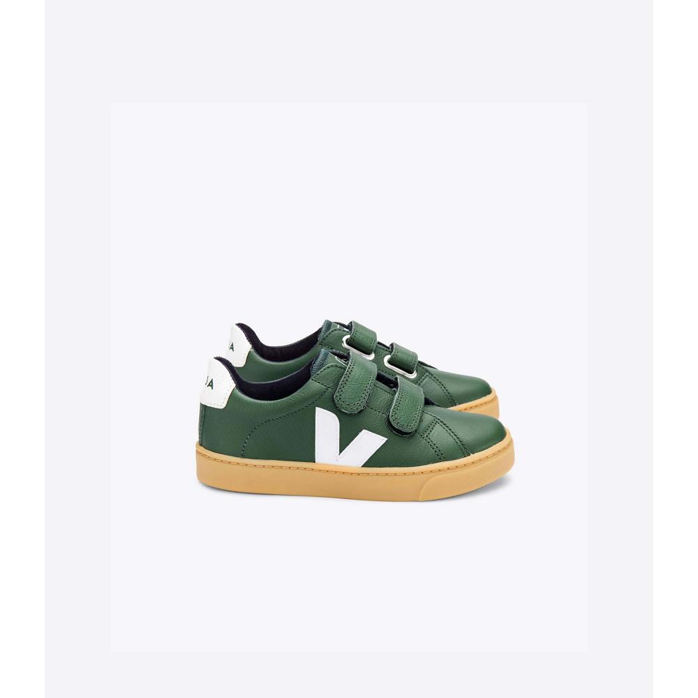 Veja ESPLAR LEATHER Kids\' Shoes Green | NZ 736TCE